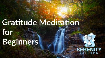 Gratitude Mindfulness Meditation for Beginners